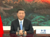 China zero carbon pledge