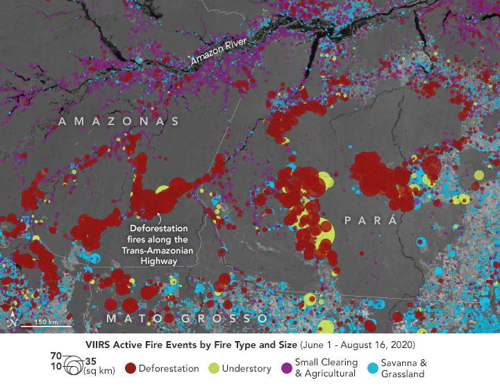 As Amazon burns again, new tool can help track the fires
