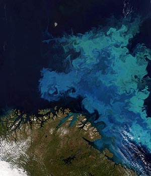 CGG Satellite Mapping completes Barents Sea Seeps study for Norwegian Petroleum Directorate