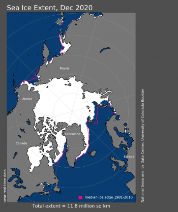 Satellite data of 40 years show how fast Arctic sea ice is shrinking