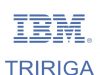 IBM TRIRIGA