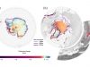 global ice loss