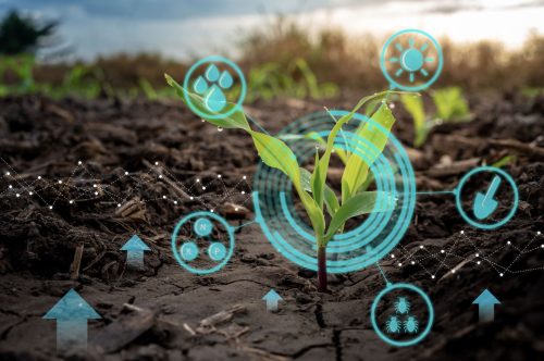 Embracing Earth Observation for Resilient Climate-Smart Agriculture