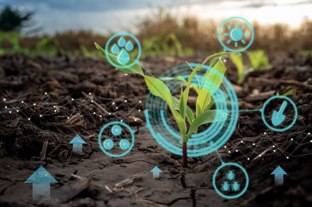 Embracing Earth Observation For Resilient Climate-Smart Agriculture