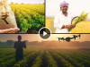 Geospatial Strengthening Crop Insurance in India