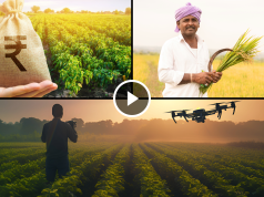 Geospatial Strengthening Crop Insurance in India