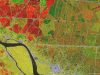 Climate response