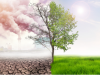 resilient investing