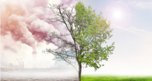 resilient investing