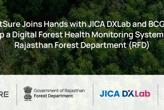 forest monitoring