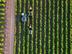 Australasian Space Innovation Institute unveils National Digital Twin for Agriculture