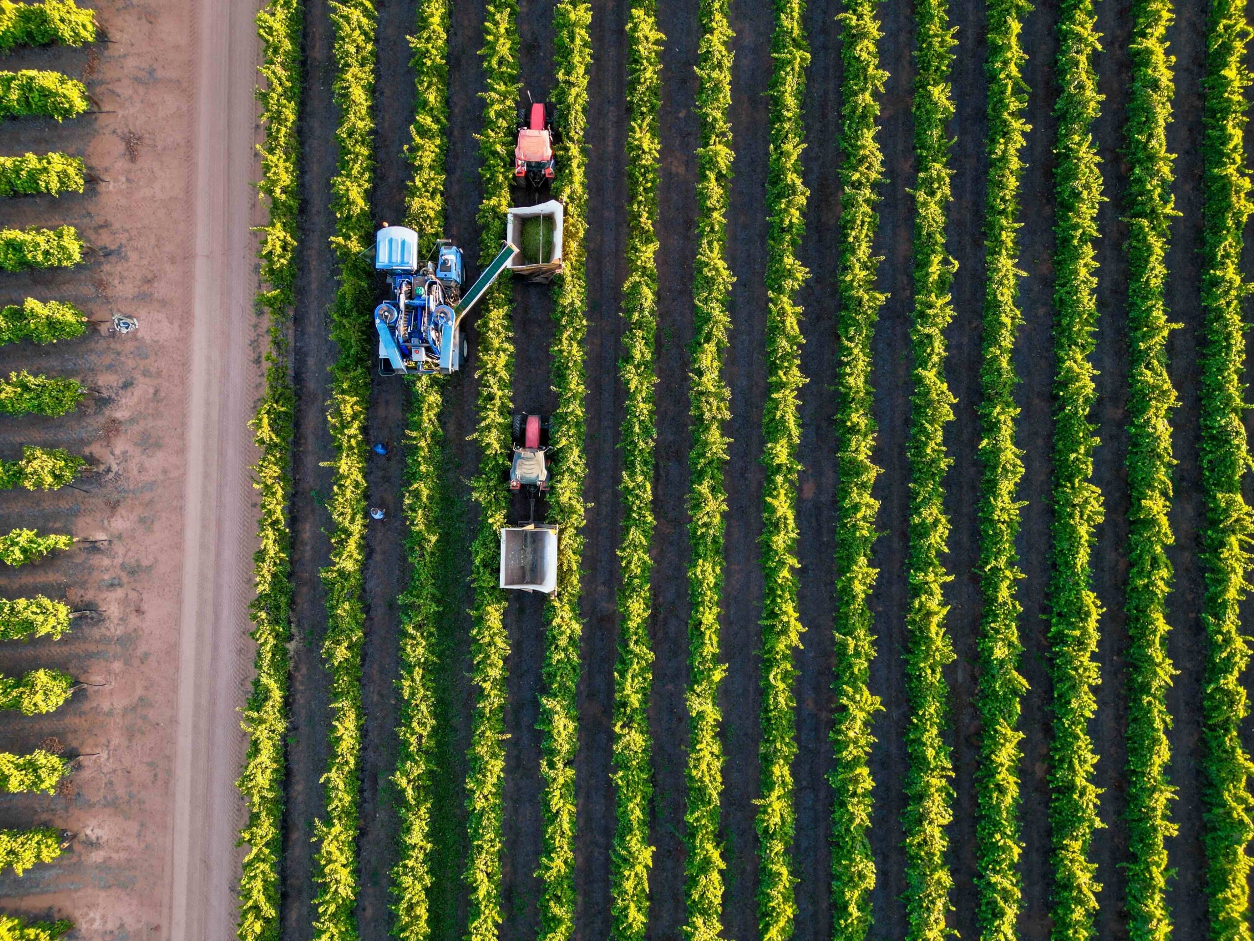 Geospatial World - Australasian Space Innovation Institute unveils National Digital Twin for Agriculture